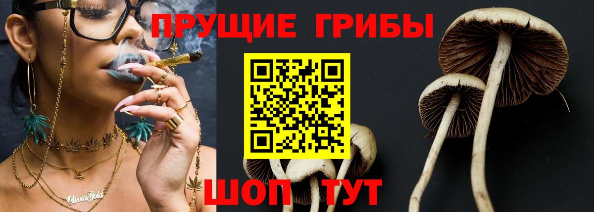 Псилоцибиновые грибы Magic Shrooms Богородицк